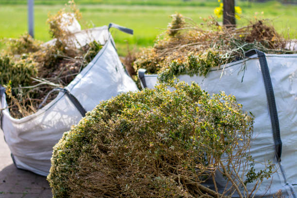 Best Junk Hauling Services  in Placitas, NM