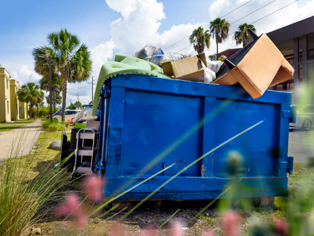 Best Yard Cleanup Services  in Placitas, NM